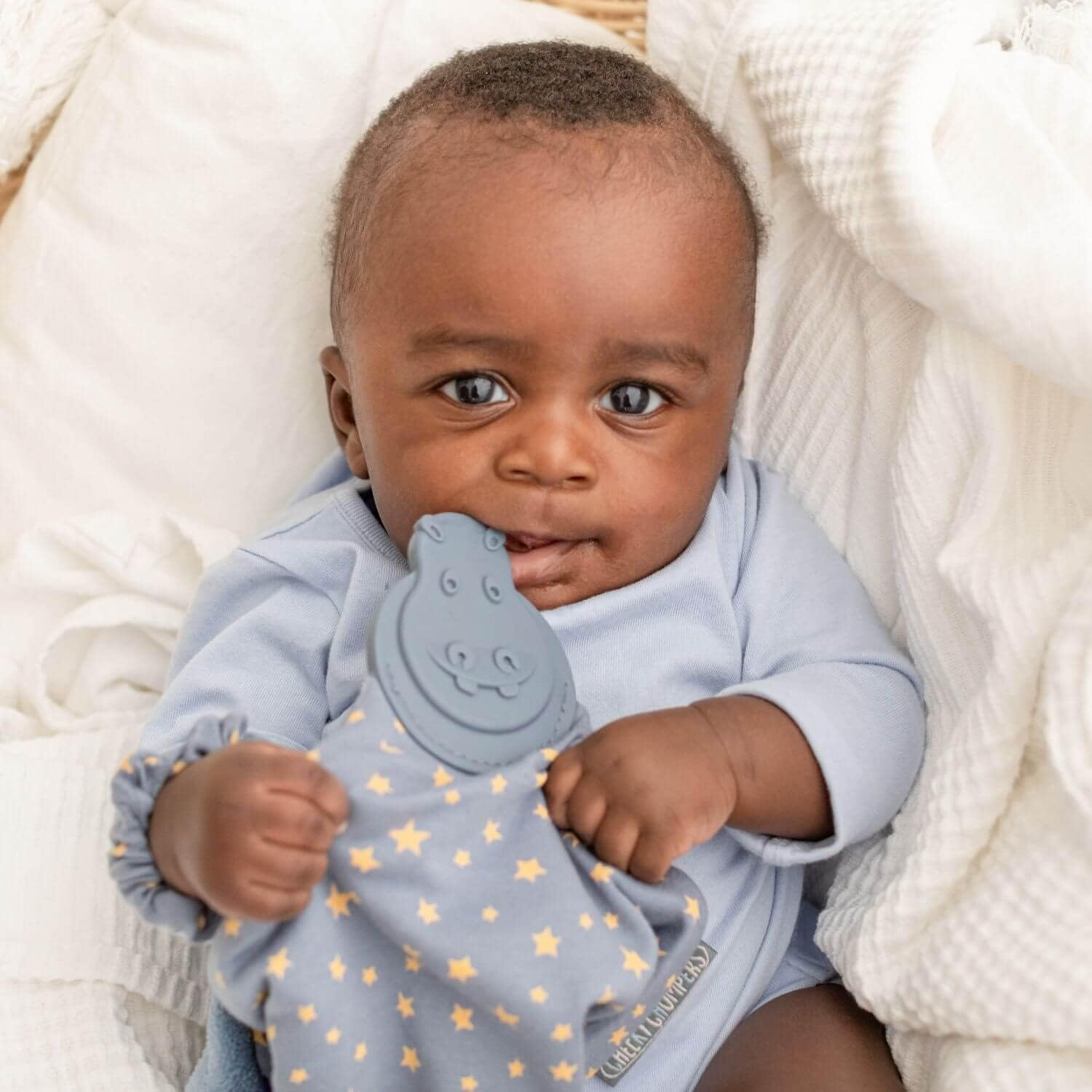 Cheeky Chompers Cheeky Chompers Comfortchew, Midnight Stars (CC534)