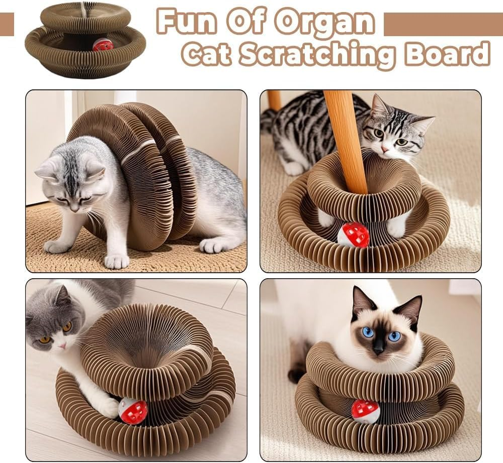 Cat Scratching Board Foldable, Magic Organ Cat Scratcher Board, Foldable Accordion Cat Toy with Ball, Durable Corrugated Cardboard Scratch Pad for Indoor Cats, Eco-Friendly Cat Toy image number 2