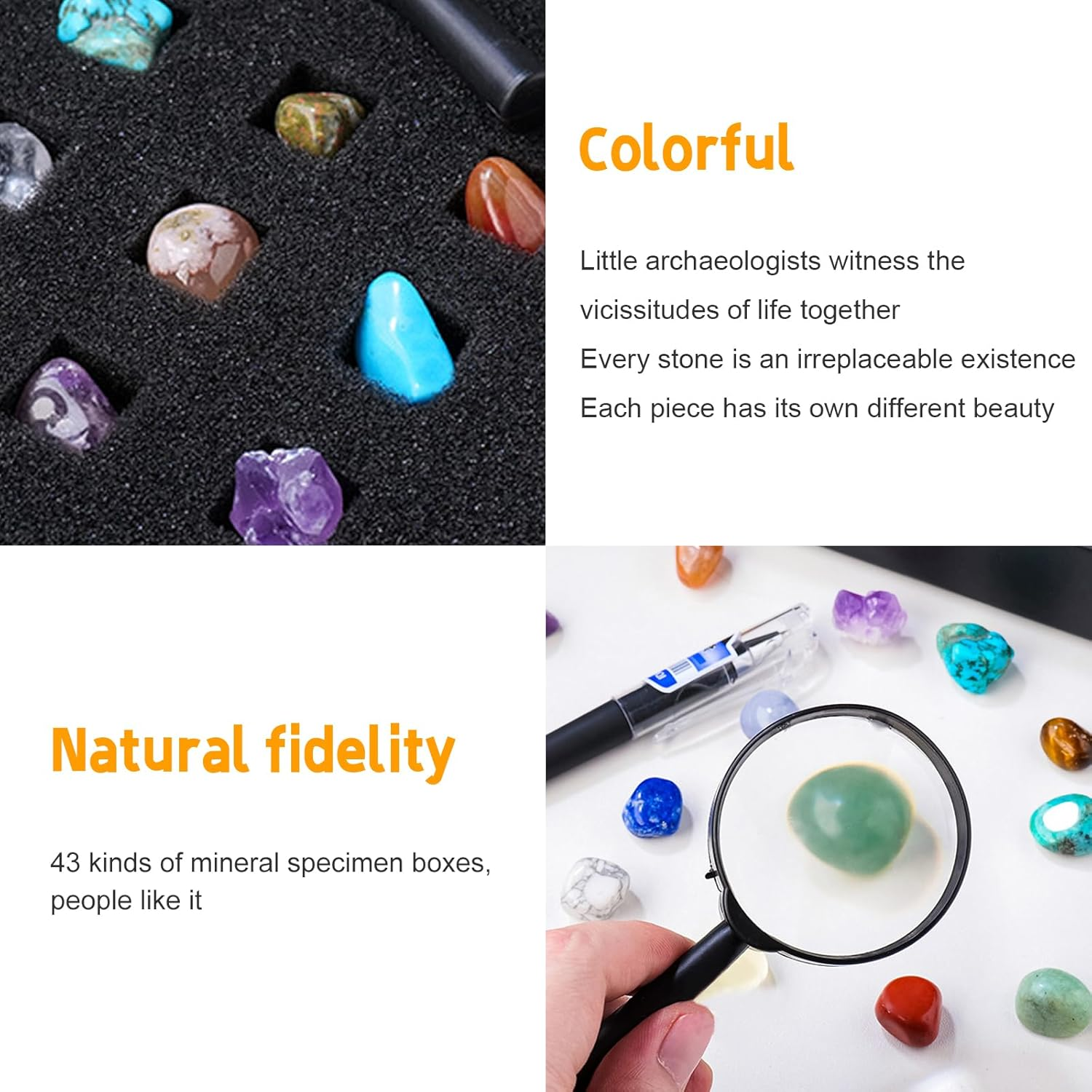 Rock Kit for Geology Enthusiasts | Rock Collection with Mineral Testing Tools, Crystal Geode Display & Volcanic Samples | Beginner to Advanced Specimen Study