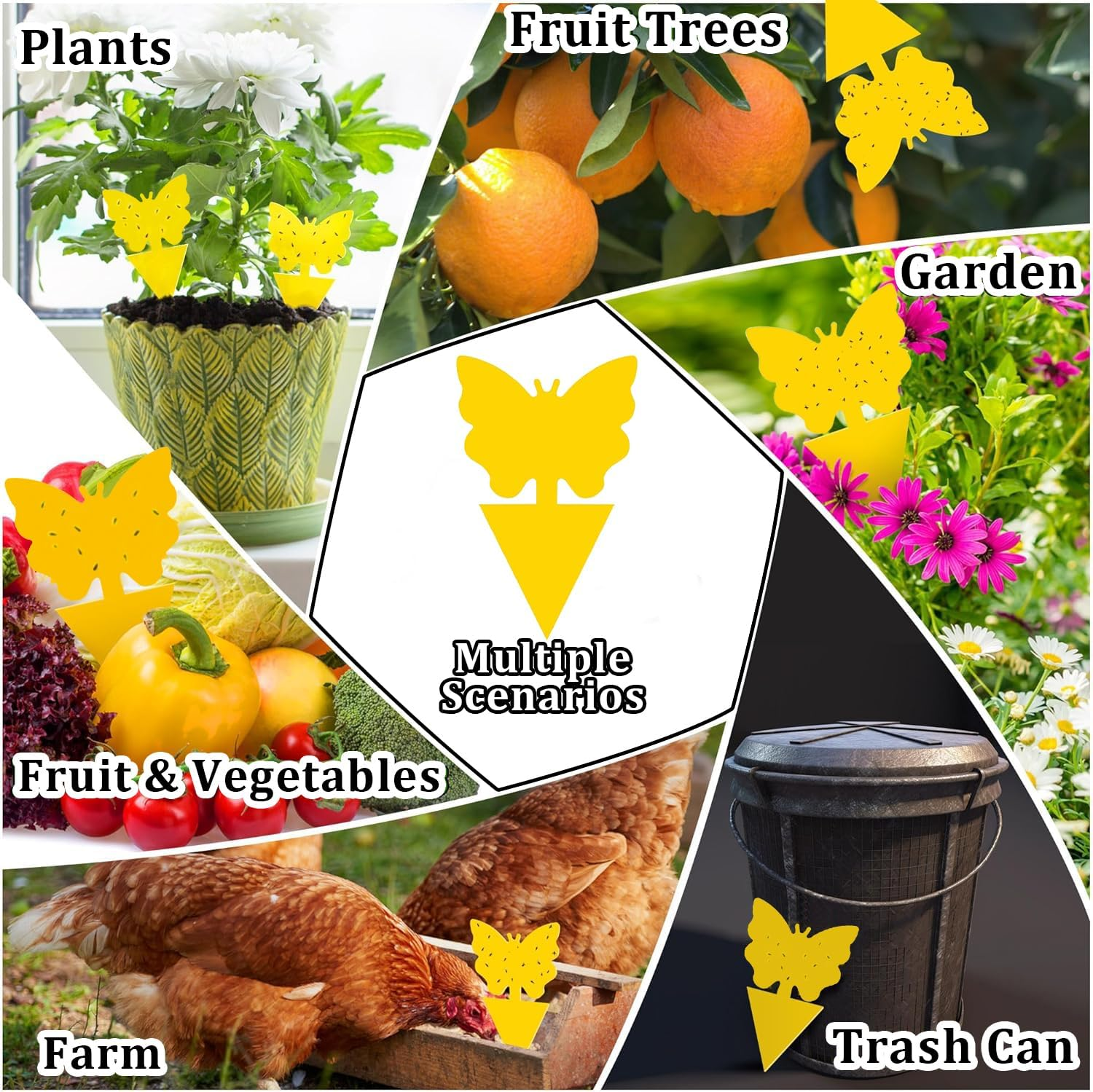 60 PCS Sticky Traps, Fruit Fly and Gnat Sticky Bug Trap, Yellow Dual-Sided Sticky Insect Catcher for Fungus Gnats Whiteflies Mosquitos Aphids Leafminers Flying Insects Indoor and Outdoor Use image number 3