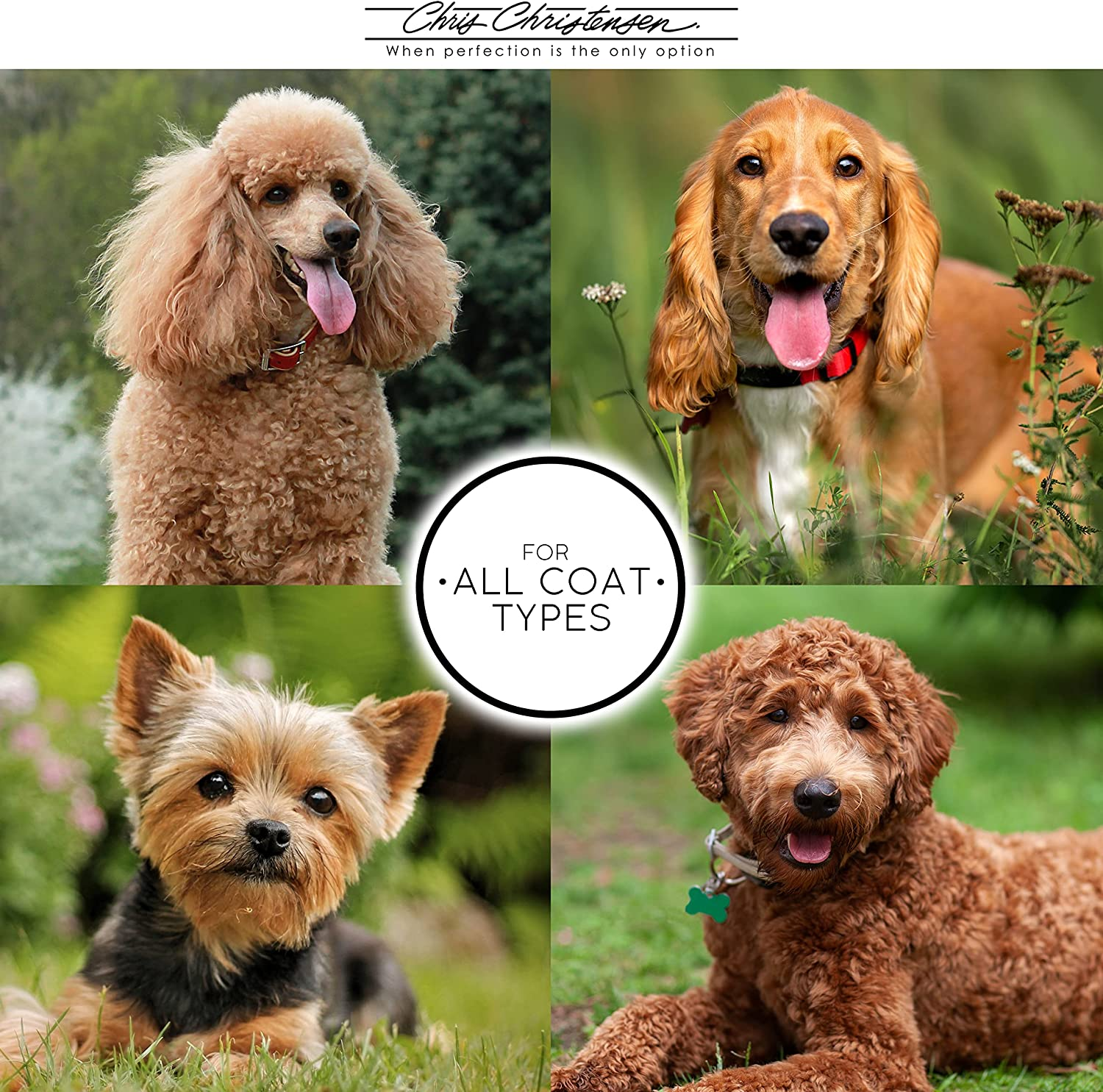 Chris Christensen after U Bathe Conditioner image number 4