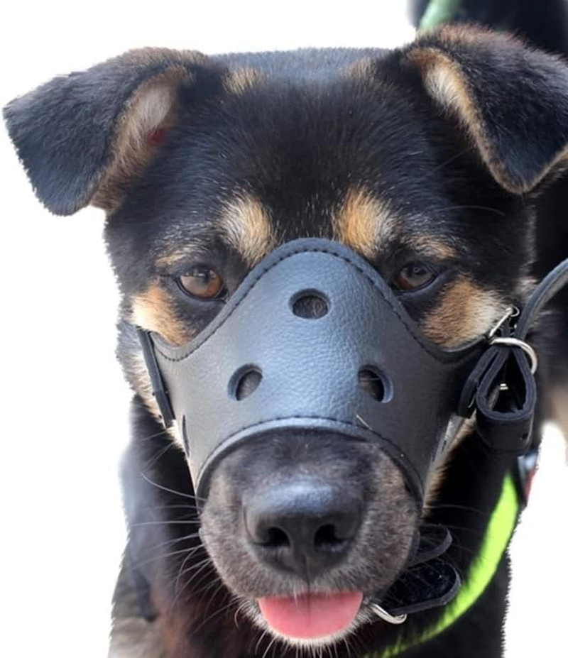 AIMALL 1PC Adjustable Leather Pet Dog Muzzle - anti Barking, Bite, and Chewing, Soft Embossed PU Material with Zinc Alloy Accessories, Ideal for Grooming & Vet Visits image number 4