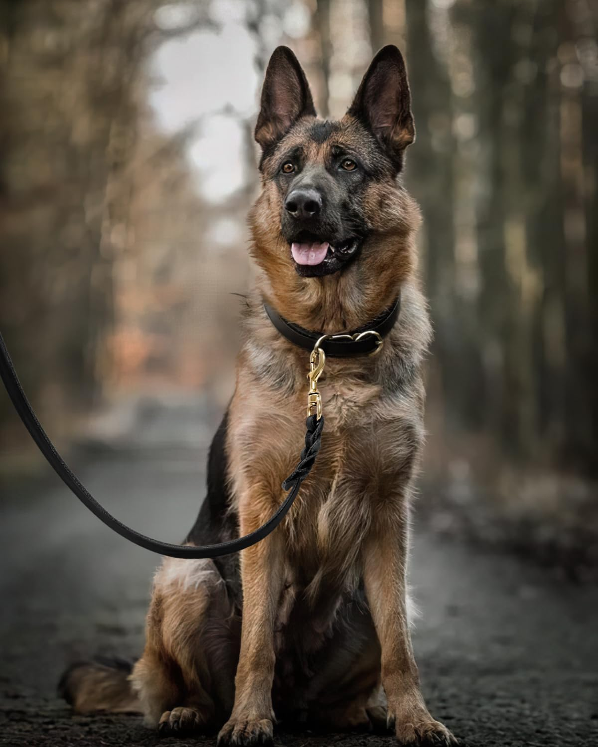 FAIRWIN Leather Dog Leash 6 Foot - Braided Military Grade Heavy Duty Dog Leash for Large Medium Small Dogs Training and Walking (Black, XL:1" X 6Ft) image number 6