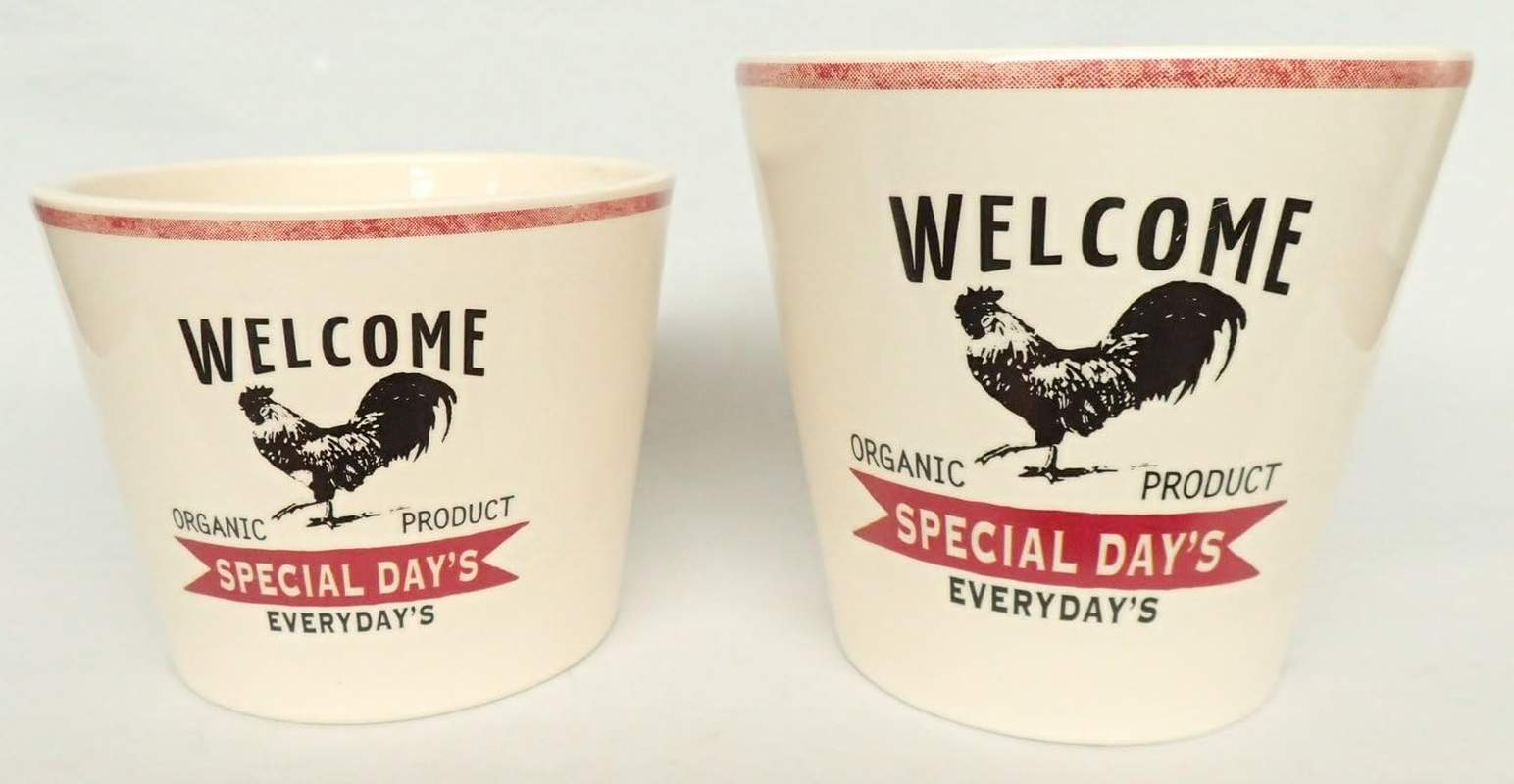 Maruwa Boeki 400840902 Biancot Planter, Chicken, No. 3.5 - Cow image number 2