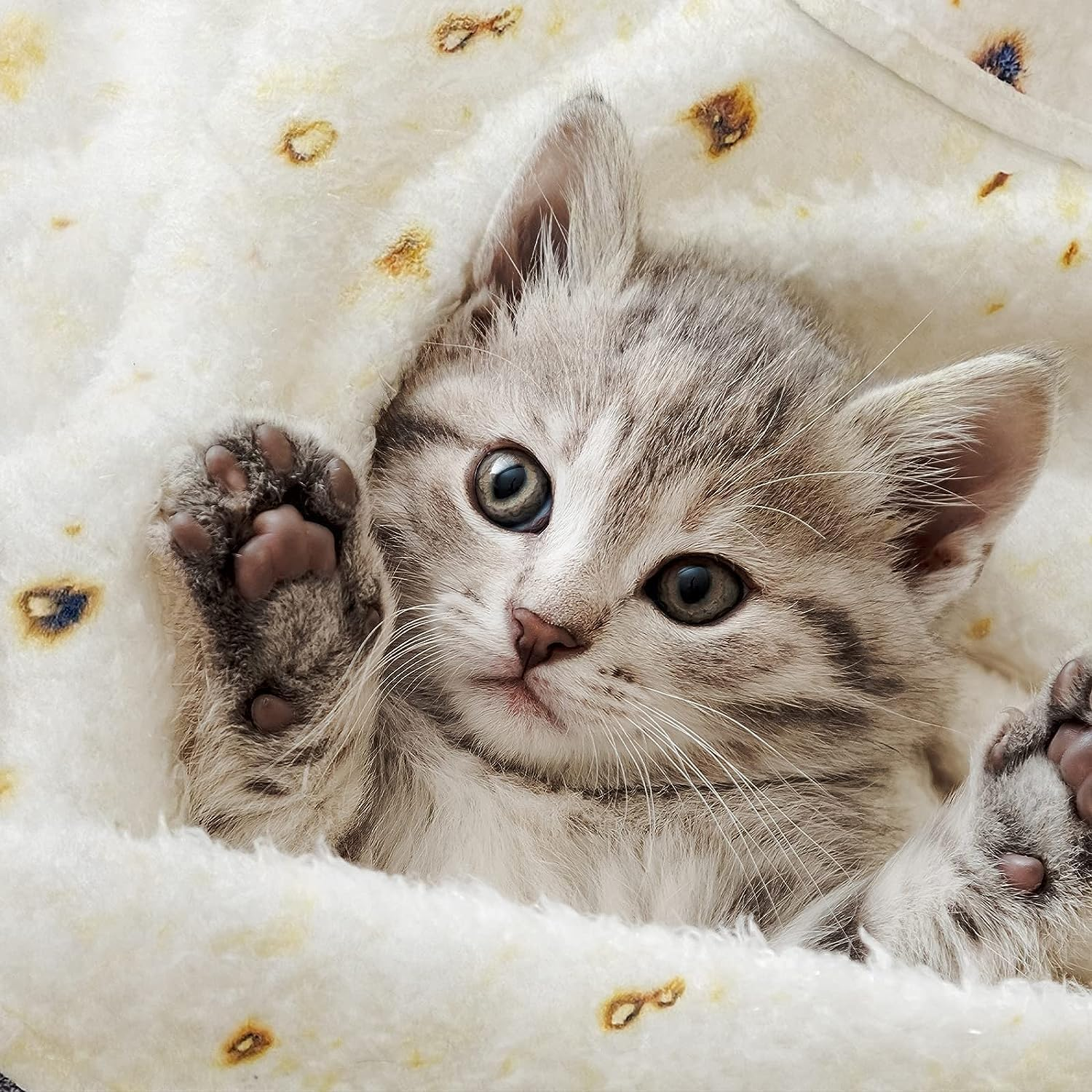 Taco Baby Blanket 285 GSM Flannel - Soft Swaddle Wrap for Newborn & Toddler 0-12 Months, Unisex Shower with Burrito Design, Wearable Snuggle Blanket Tortilla Blanket (36 Inch) image number 1