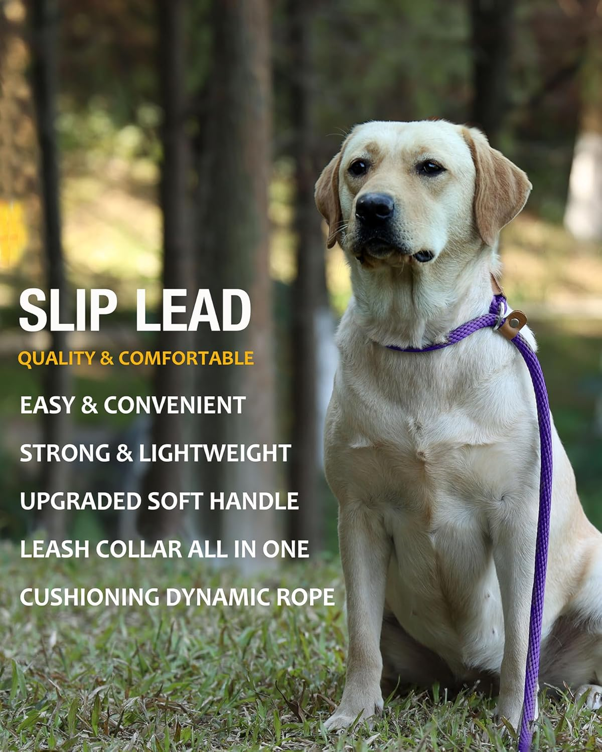 Lynxking Dog Leash Rope Strong Heavy Duty Braided Rope Slip Leads No Pull Training Lead Leashes Medium Large Dogs (5', Purple) image number 6