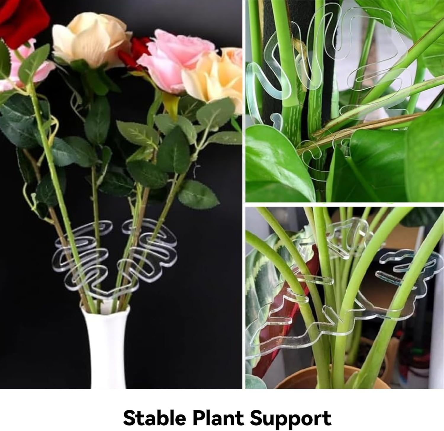 2PCS Monstera Grapple Plant Support - Turtle Shell Bamboo Clamp Set, Unique Aesthetic Plant Support Ring for Climbing Plants, Keep Indoor/Outdoor Plants Growing Vertical image number 2