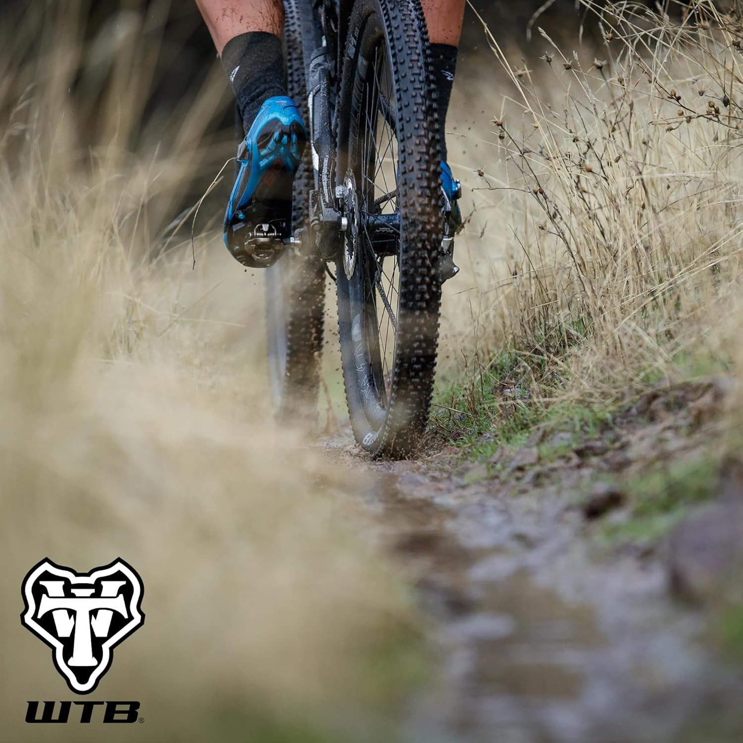 WTB Ranger Mountain Bike Tire, Tubeless Ready Folding Bead, Lightweight Fast Rolling, Available with Black or Tan Sidewalls, Dual DNA SG2 Puncture Protection, Great for Trail & Bikepacking image number 5