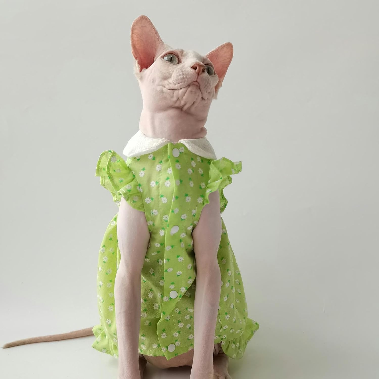 IUOUTG Sphynx Hairless Cats Clothes Lightweight Pet Princess Skirt Girl Cute Floral Kittens Dress with Flying Sleeves Breathable Cat Vest for Devon Rex Pet Apparel in Spring Summer image number 2