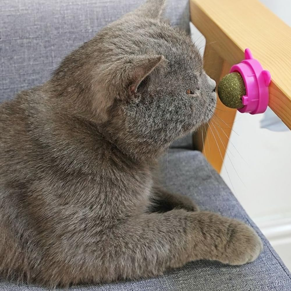 Catnip Ball Rotatable Lickable Tooth Cleaning Dental Toy for Cats and Kittens - Interactive Chew Toy with Wall Treats (Light Red) image number 4