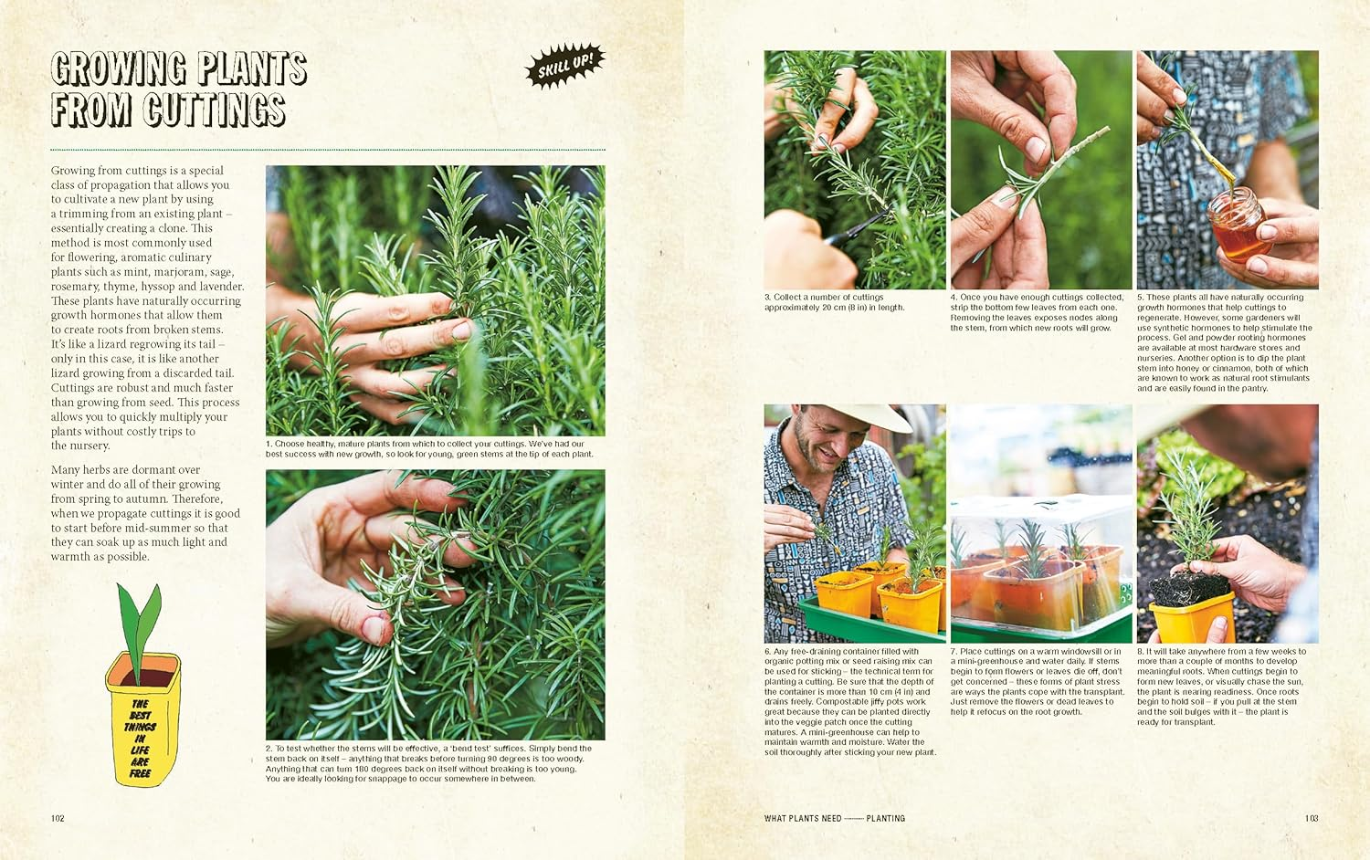 Grow Food Anywhere: the Essential Guide to Small-Space Gardening image number 1