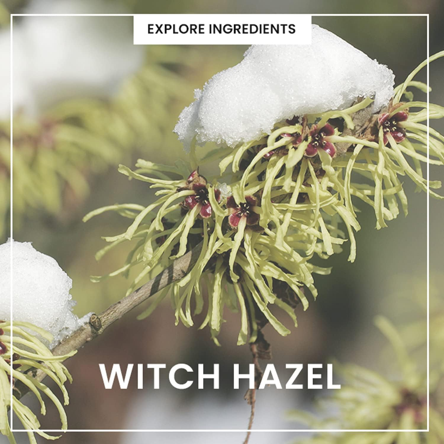 Heimish All Clean Green Foam 150 G, 150 G image number 3