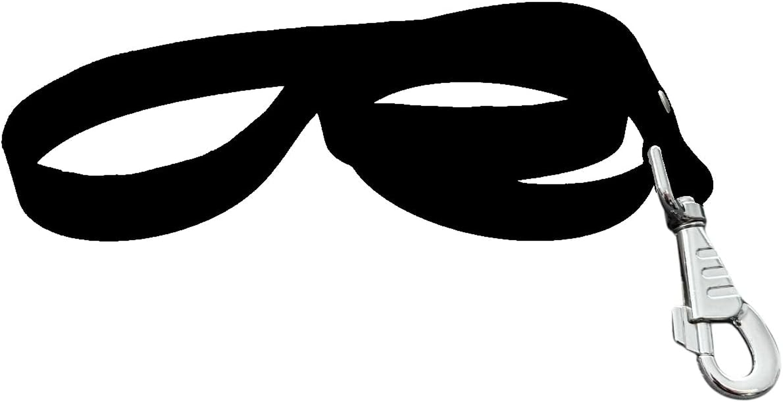 Biothane Dog Lead - 25Mm Wide - Black - Aquamarine image number 4