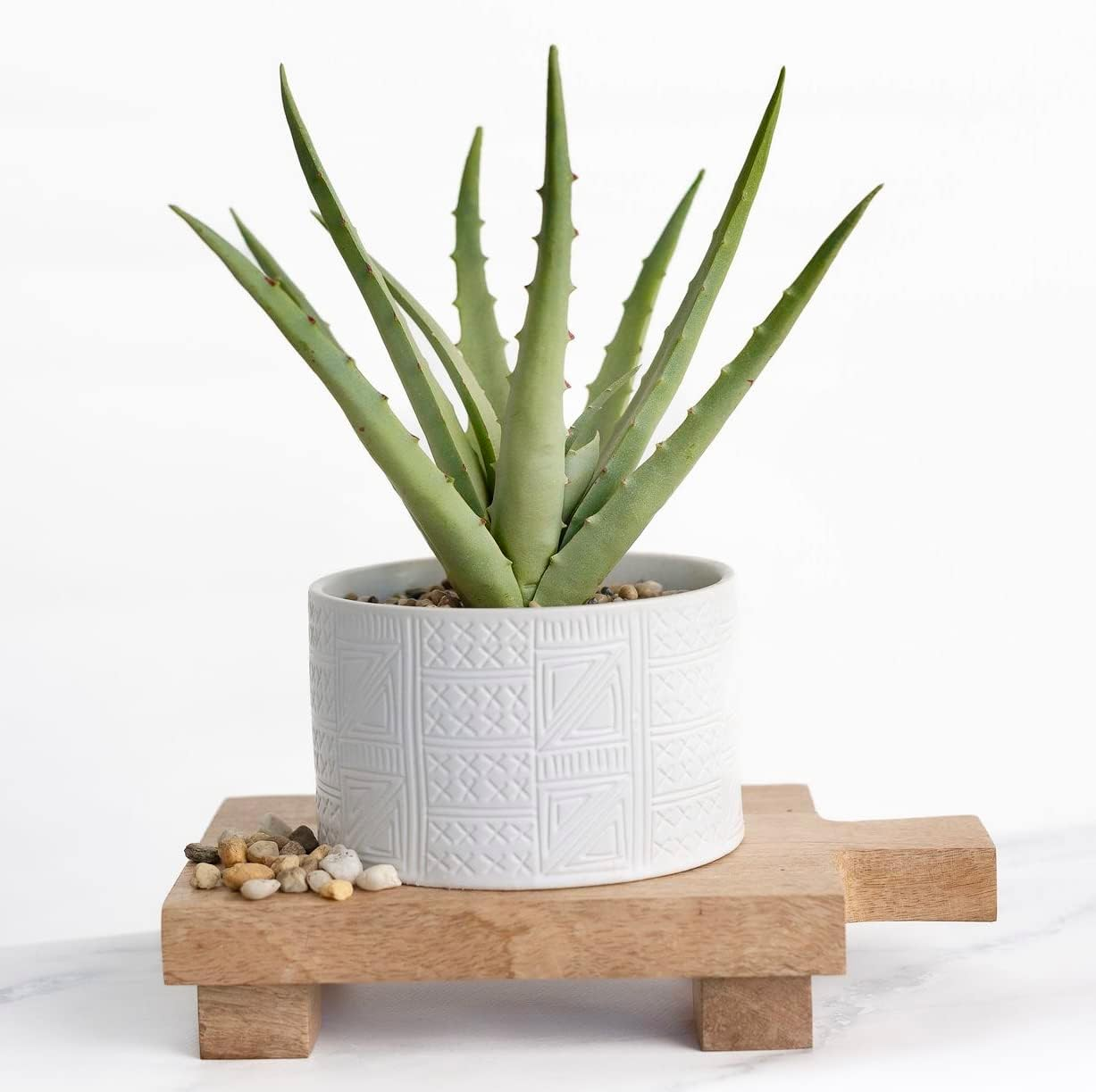 Artificial Plant in White Ceramic Pot | 10" High Faux Agave Plant in White Pot | Fake Plant for Desk Decor | Artificial Agave for Home Decor Indoor | Artificial Succulent for Shelf Decor image number 1