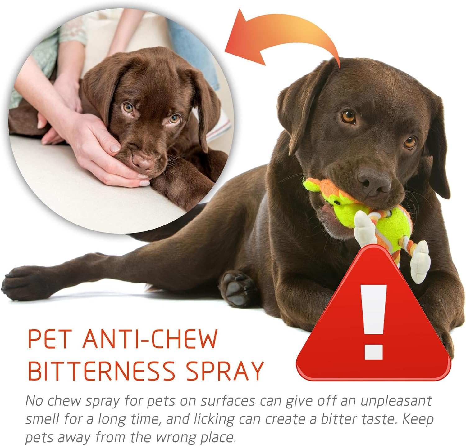 Anti Chew Spray for Dogs and Cats, anti Chew Spray for Cats, Effective Anti-Scratch Spray for Cats and Dogs, Chew Stop for Pets, Effective Chewing Stop for Furniture, Bitter Spray for Dogs and Cats, 1 image number 1