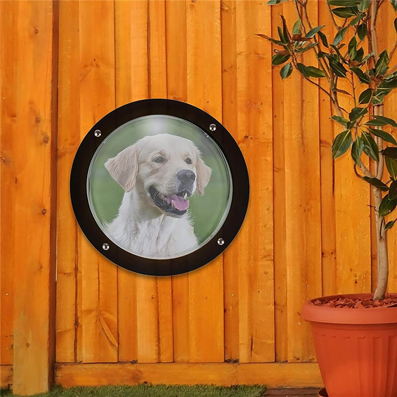 Dog Fence Window - Clear Dome Peek Bubble, Safe Acrylic round Pet Window with Wide View Design, Easy-To-Install Fence Dome for Dogs and Cats | Ideal for Backyard Fences, Kennels, and Play Areas image number 5