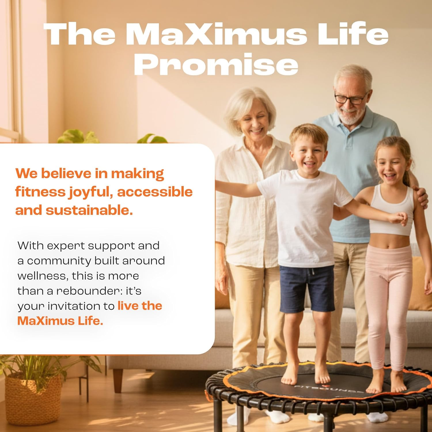 Fit Bounce Pro Bungee Rebounder Australia | Assembled | Half Folding | Silent & Beautifully Designed Pro Indoor Mini Trampoline for Adults & Kids | DVD & Online Workouts image number 3