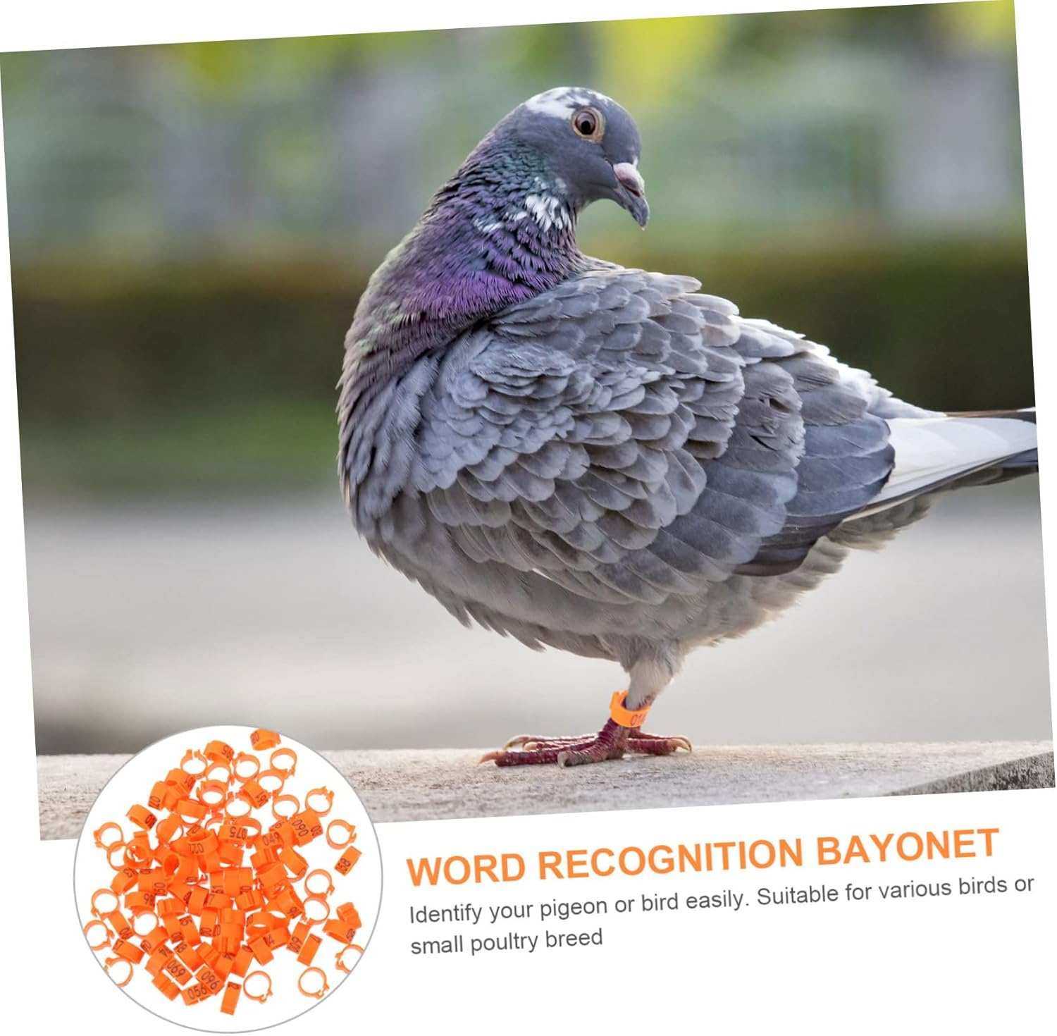 ERINGOGO 100 Pcs Pigeon Foot Rings Plastic Bird Leg Bands Identification Bands Bright Orange for Pigeons and Poultry Bird Accessories image number 3