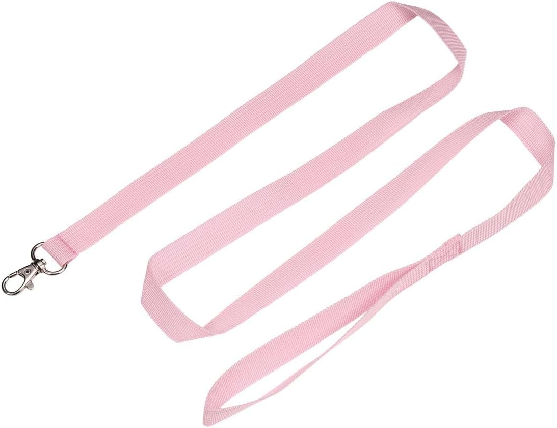 Skater PRYU1-A Walk, Backpack, Harness, for Ultra-Small Dogs, for Pets, Walks, Dogs, Sanrio, My Melody, My Melody image number 5