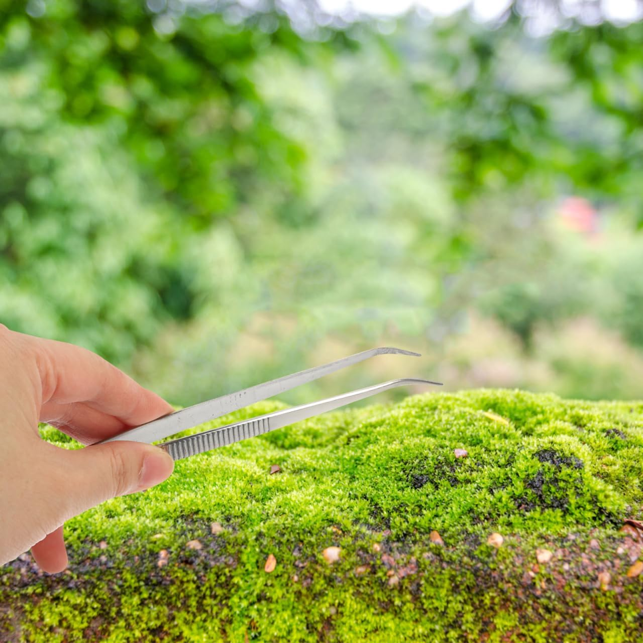 GANAZONO 2Pcs Bonsai Multipurpose Tool Succulent Rake Straight Bonsai Succulent Rake Aquascaping Tool Kit Bonsai Curved Tip Tools Aquarium Stainless Steel