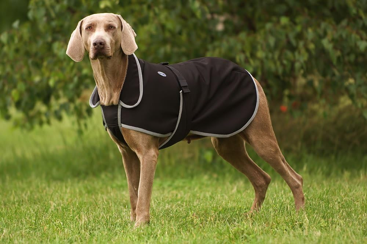 EKKIA Diego & LOUANA Soft Shell Raincoat, for Small/Large Dogs, Black, 15.7 Inches (40 Cm)