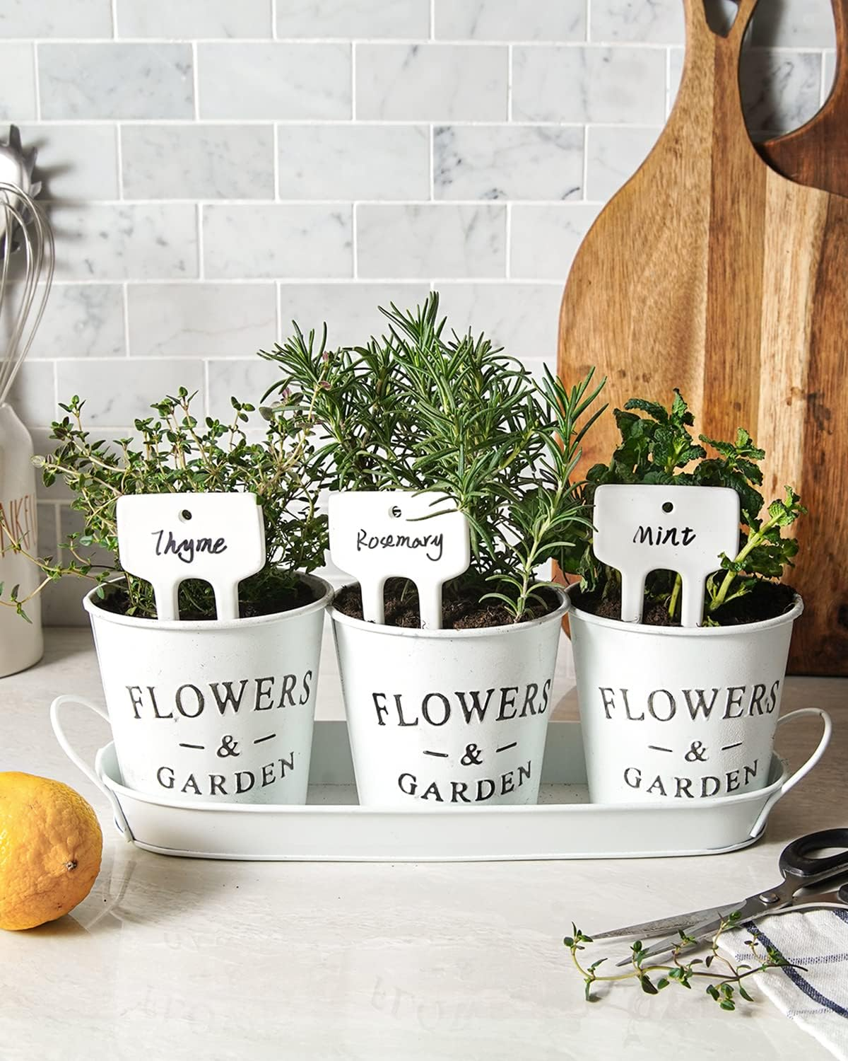 Plant Labels, Ceramic Garden Markers, Herbs Succulent Name Tags, Supplies for Seeding Pot Potted Plants Raised Bed, Indoor & Outdoor, Reusable Waterproof - Set of 12, White image number 6