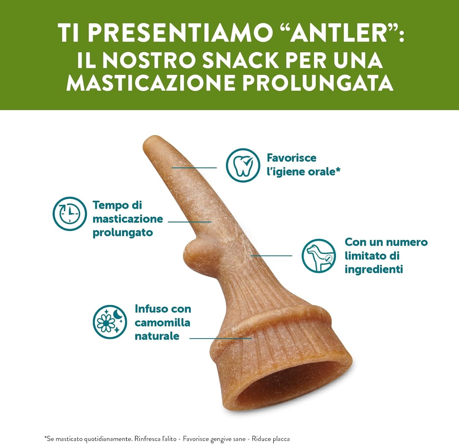 WHIMZEES Antler Dental Dog Treats, Value Bag, Medium (12-18 Kg Dogs), Natural Daily Dental Chews (Pack of 12) image number 1