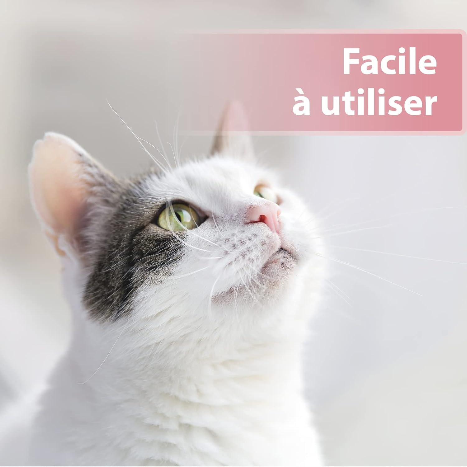 Felisept 250820 Eye Care Pads for Cats with Soothing Aloe Vera Extract / Removes Tear Stains image number 2