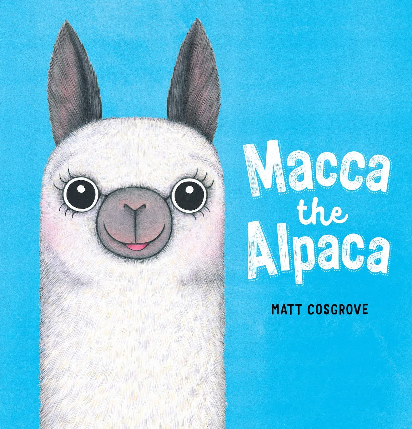 Macca the Alpaca image number 2