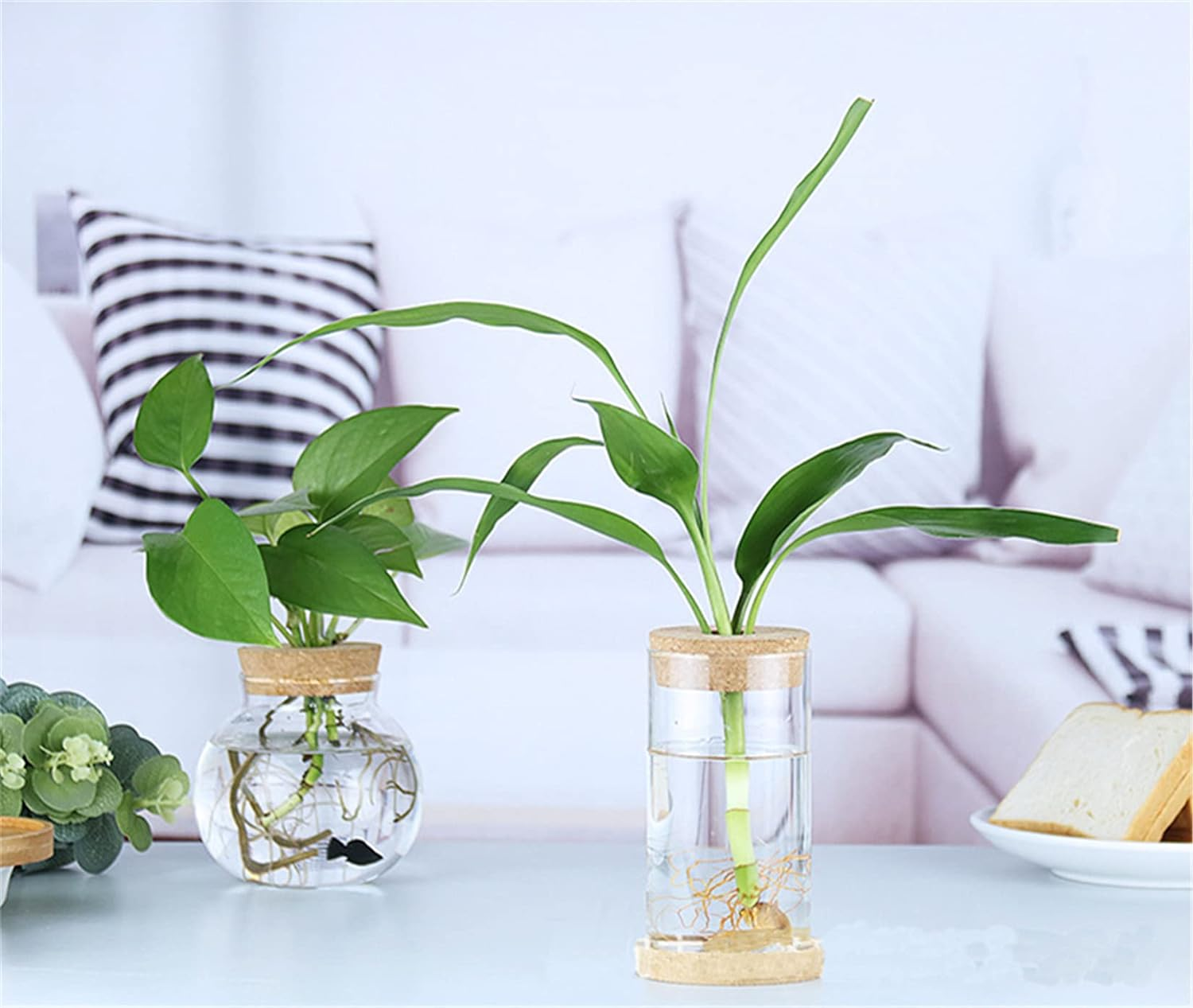 MMIAOO Hydroponic Plant Glass Container,Glass Mini Vase - Micro Landscape Ecological Bottle,Home Decoration Vase,For Water Plants or Flowers,Garden Wall Decoration (Cylinder, 10 * 12Cm) image number 2