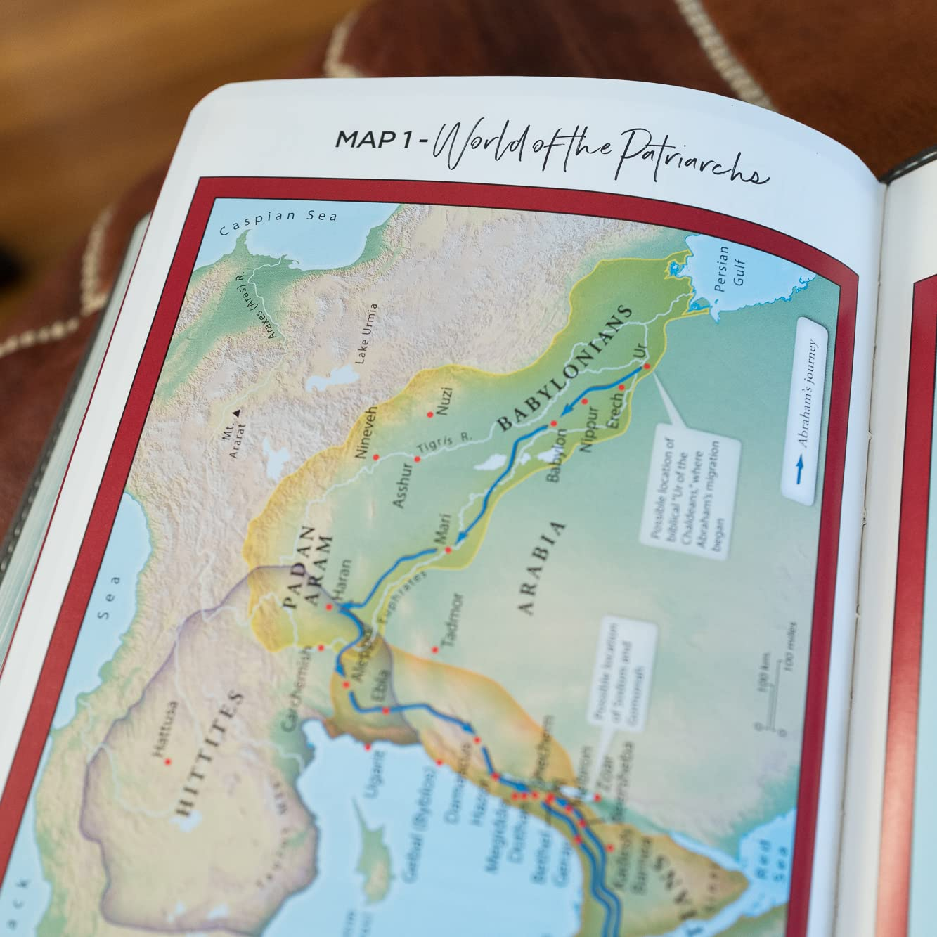 NKJV Thinline Bible Youth Red Letter Edition [Brown]: Holy Bible, New King James Version