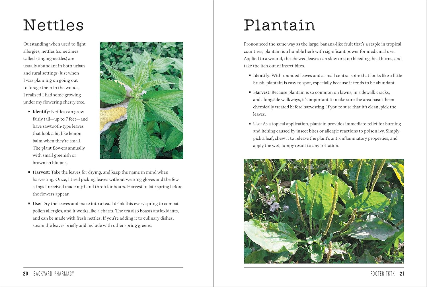 Backyard Pharmacy (Mini): Plants as Medicine image number 1