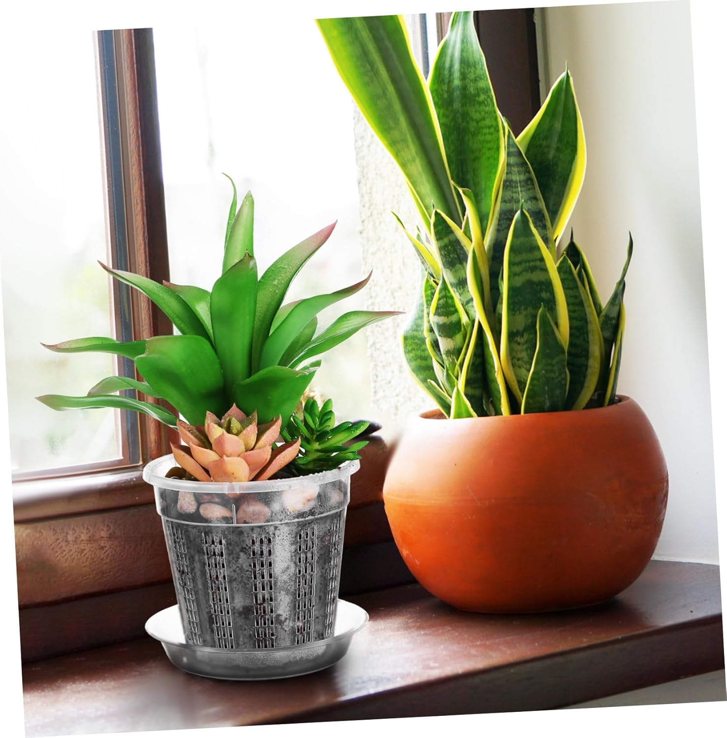 HYTROVE 8Pcs Clear Orchid Pots with Drainage Holes of Slotted Transparent Flower with Saucer for Indoor and Outdoor Gardening image number 6