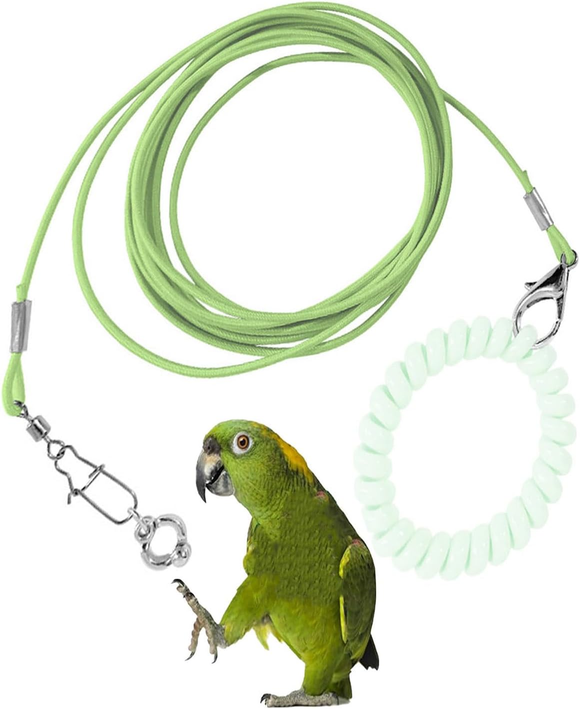 Bird Foot Chain - Adjustable Harness and Biting-Resistant Training Toy with Ankle Ring - Pet Outdoor Flying Rope for Terrace (Green) image number 5
