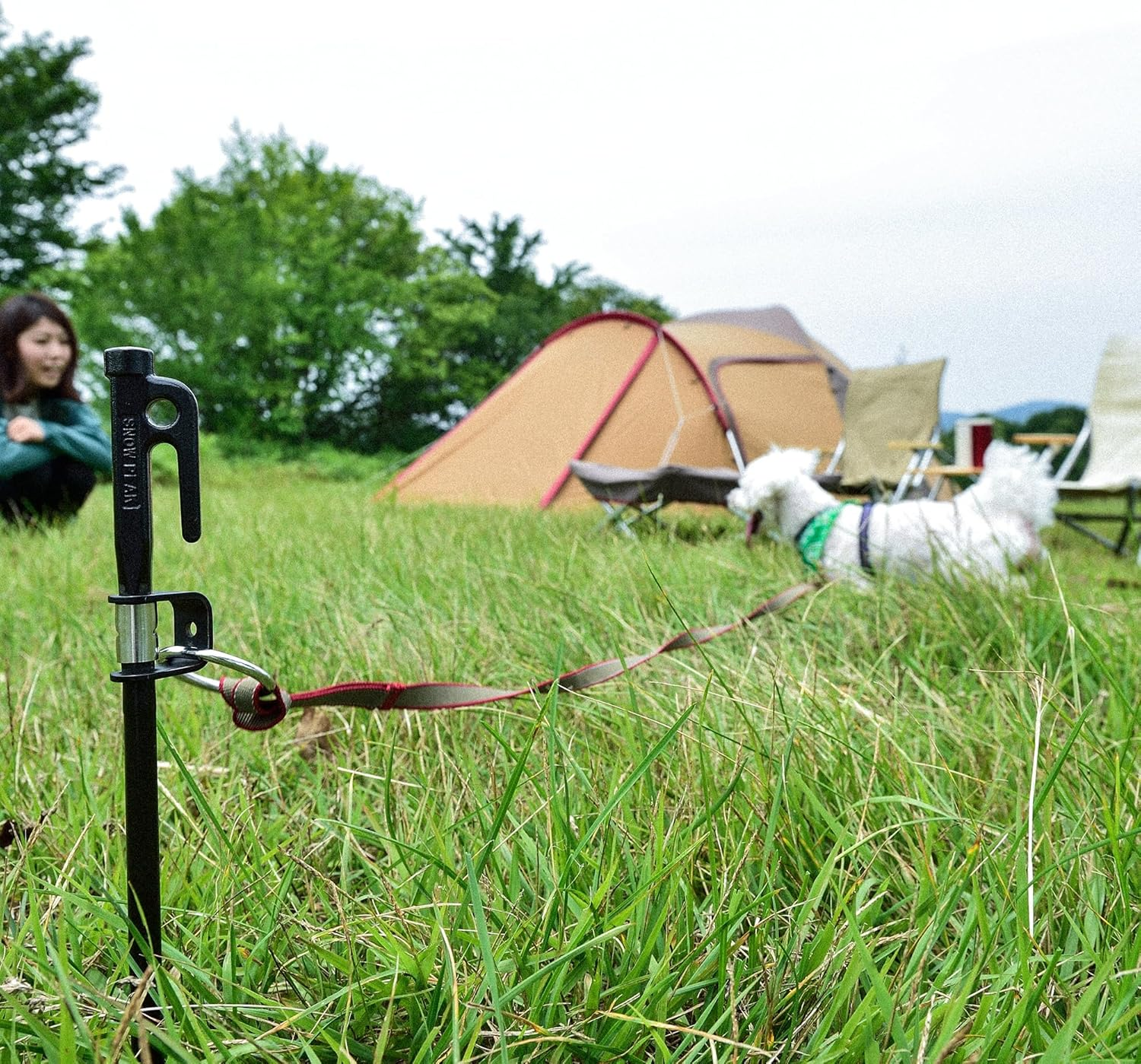 Snow Peak PT-032 Dog Anchor image number 2