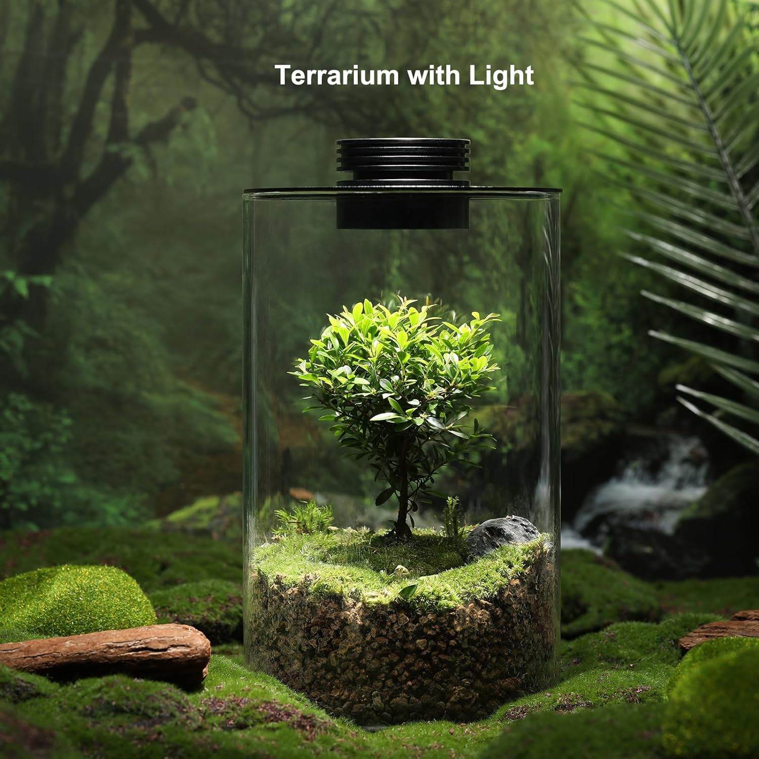 Desktop Glass Plant Terrarium with Grow Light (H:9.8" D:5.9"), for Succulent, Moss, Miniature Gardening Landscape, Betta Fish Tank, Indoor Plant Growth, Office Home Decoration, Plant Lovers Gifts image number 2