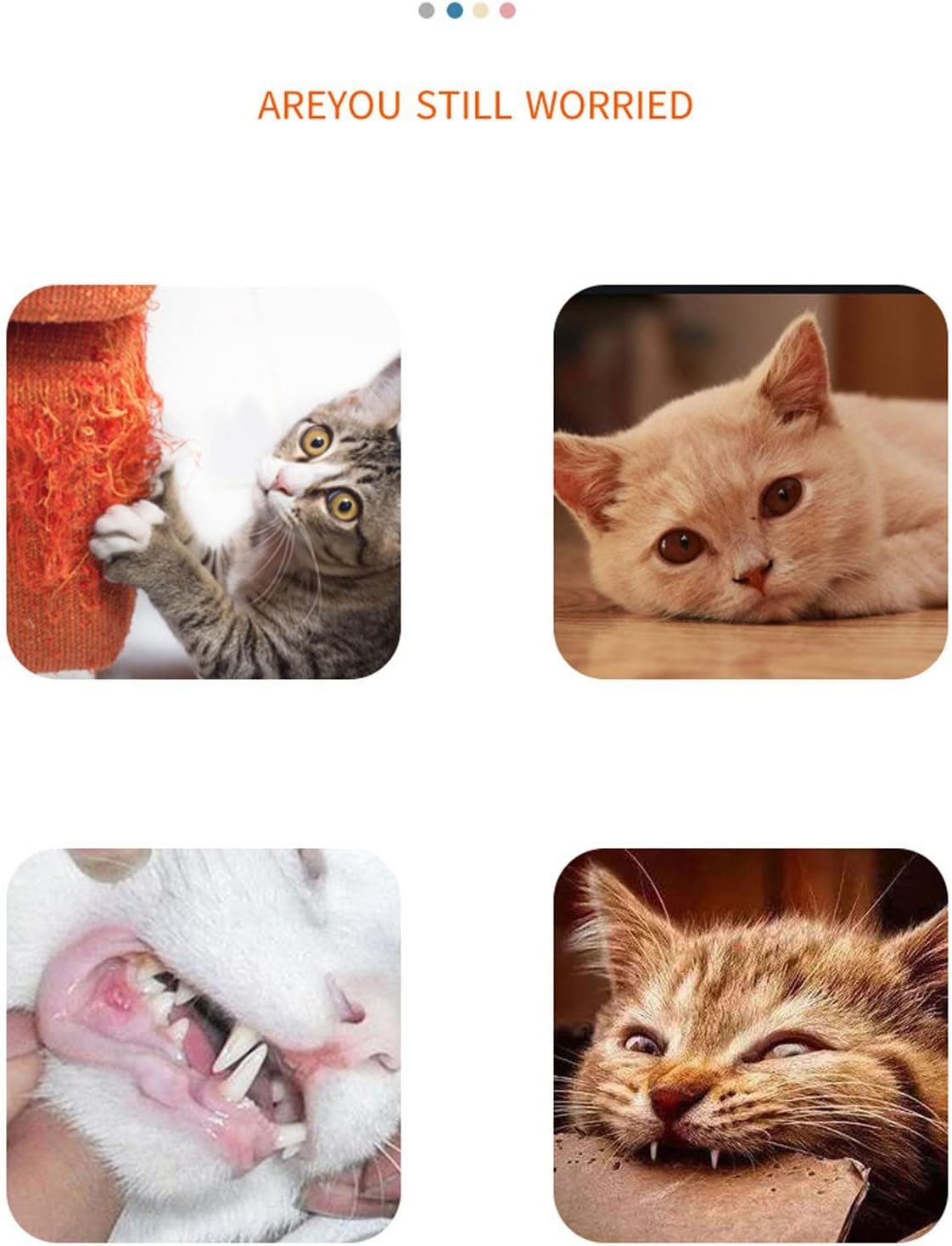 Pack of 10 Carrot Cat Toys, Filed with Catnip, Cute Bite Resistant Paper Rope, Cat Chew Toy, Cat Chew Toy, Interactive Cat Toy for House Cats, Cat Puzzle Game image number 3