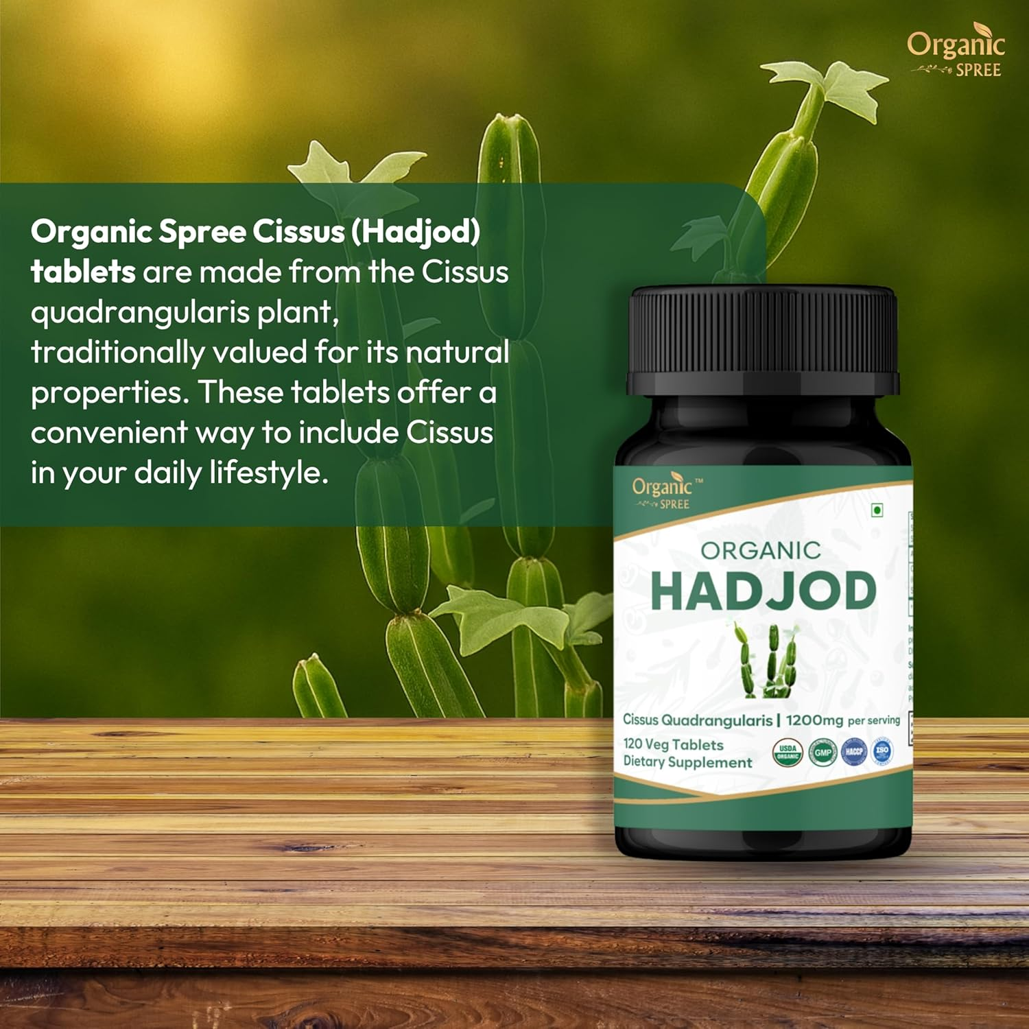 Hadjod - CISSUS 120 Tablets | Cissus Quadrangularis (Hadjod) | USDA Organic Certified | Organic and Natural 120Tab image number 4