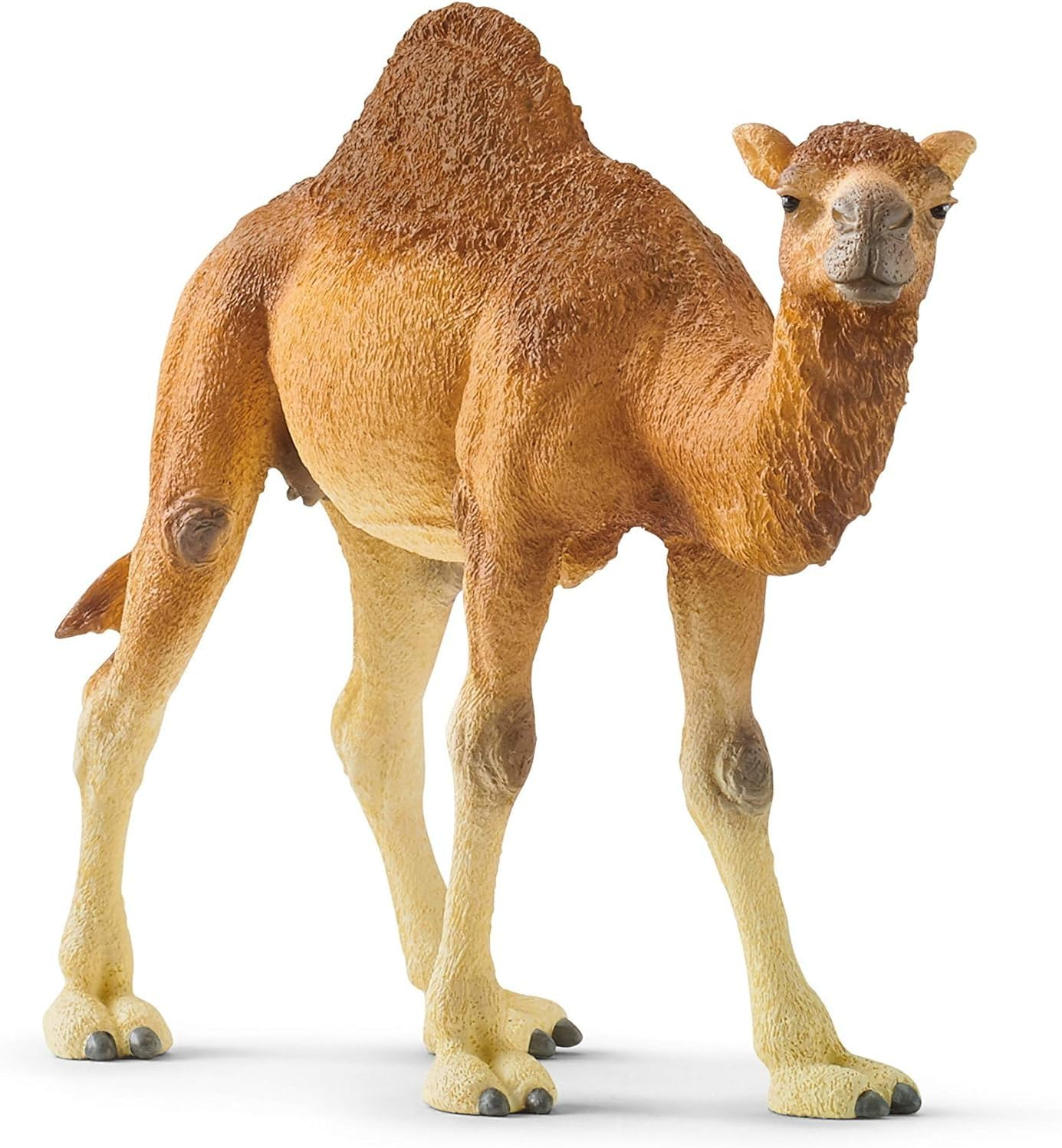 Schleich Wild Life Realistic Dromedary Camel Figurine - Authentic and Highly Detailed Wild Animal Toy, Durable for Education and Fun Play, Perfect for Boys and Girls, Ages 3+, Multicolor, 3.9 Inch image number 6