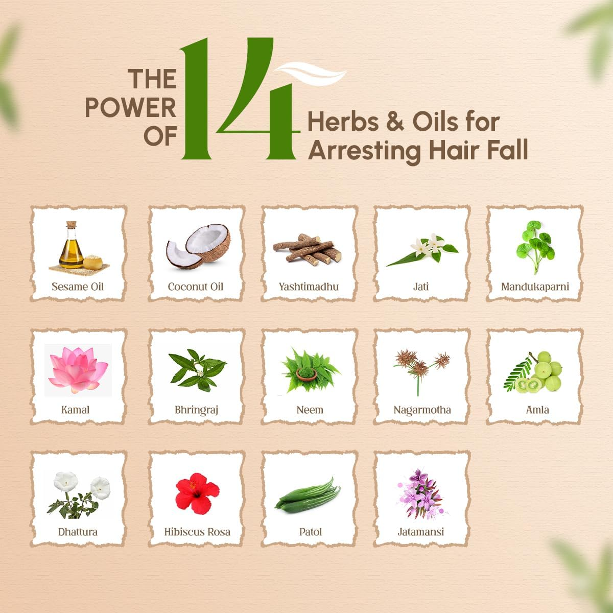 Trichup Hair Fall Control Oil Combo (3 X 200Ml)