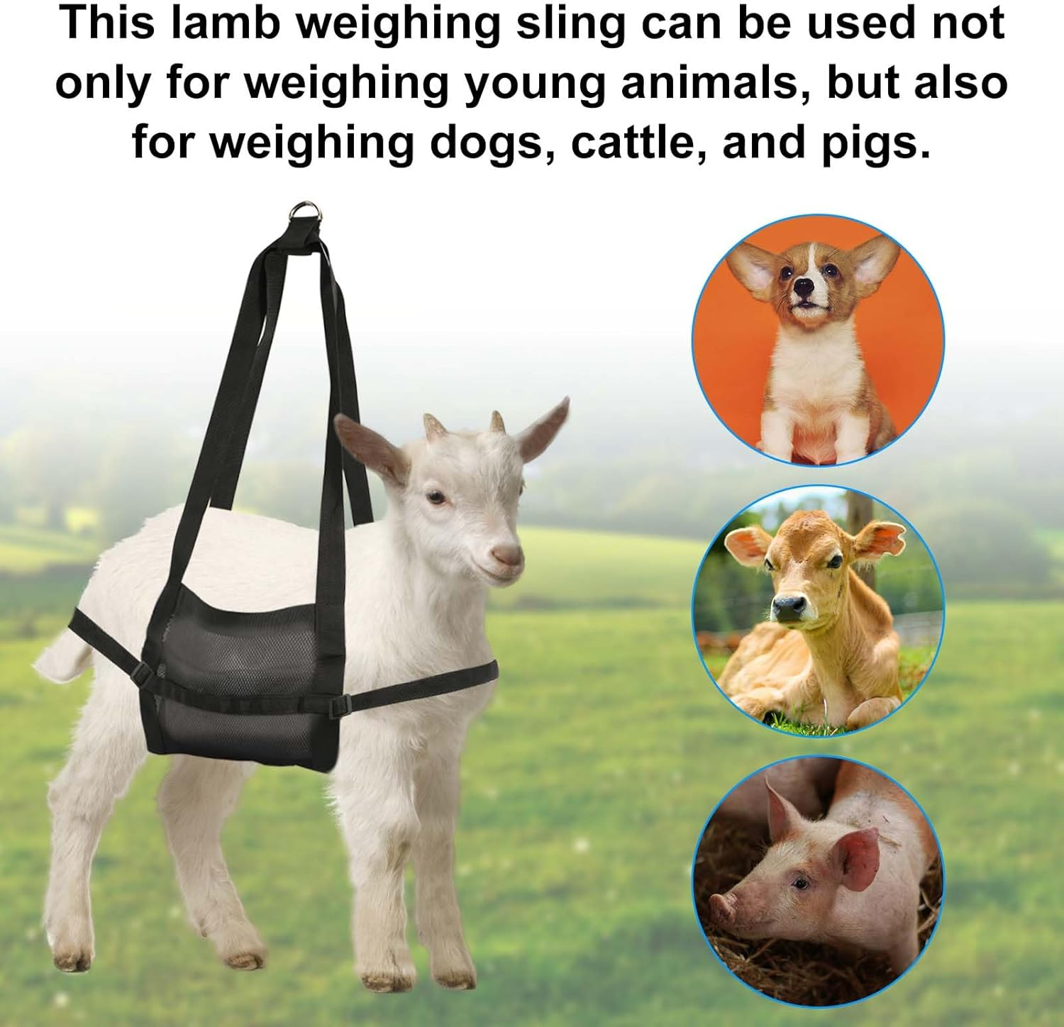 Calf Sling for Weighing Newborn Animals, Lamb Weight Sling with Adjustable Straps & Buckle Nylon Hanging Scale Livestock Sling for Baby Goat Hoof Trimming Dog Grooming image number 1