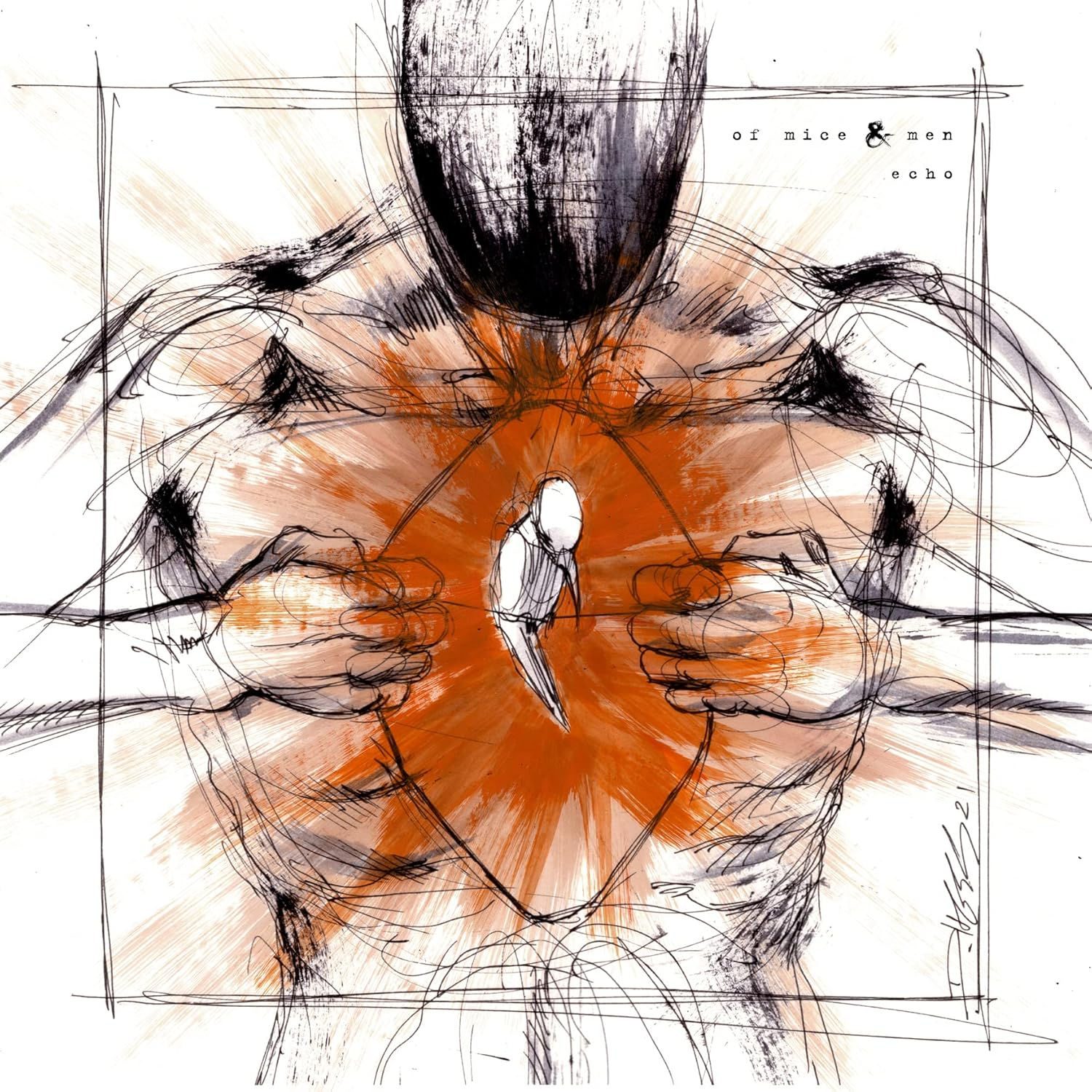 Echo Echo image number 2