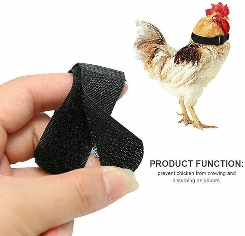 Fokmuaex 12 PCS No Crow Rooster Collar - Anti-Hook Noise-Free Neckband, Stops Chicken Crowing & Neighbor Disturbance, Safe Humane Design for Roosters image number 2