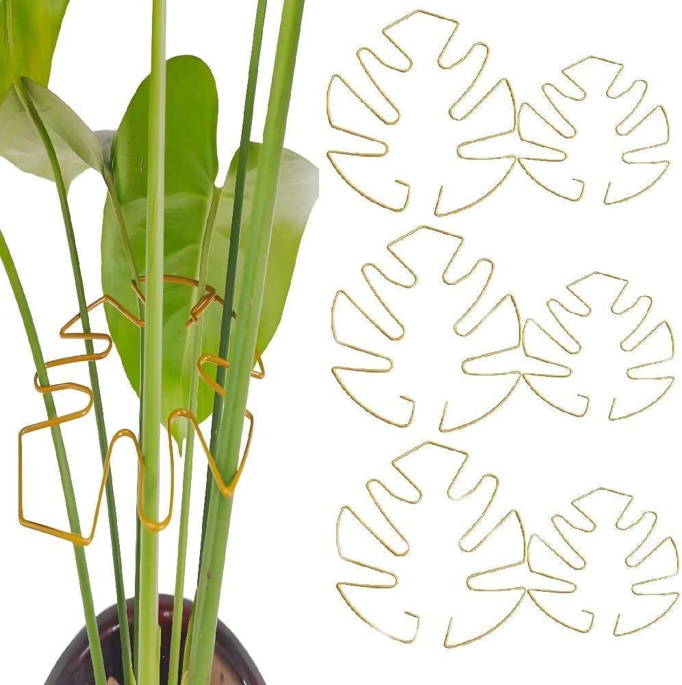 6PCS Turtle Shell Bamboo Clamp Set Durable Plant Stem Support, Grapple Holder & Stabilizer for Garden Flowers, Vegetables,Outdoor Gardening Tools for Thriving Growth (Black)