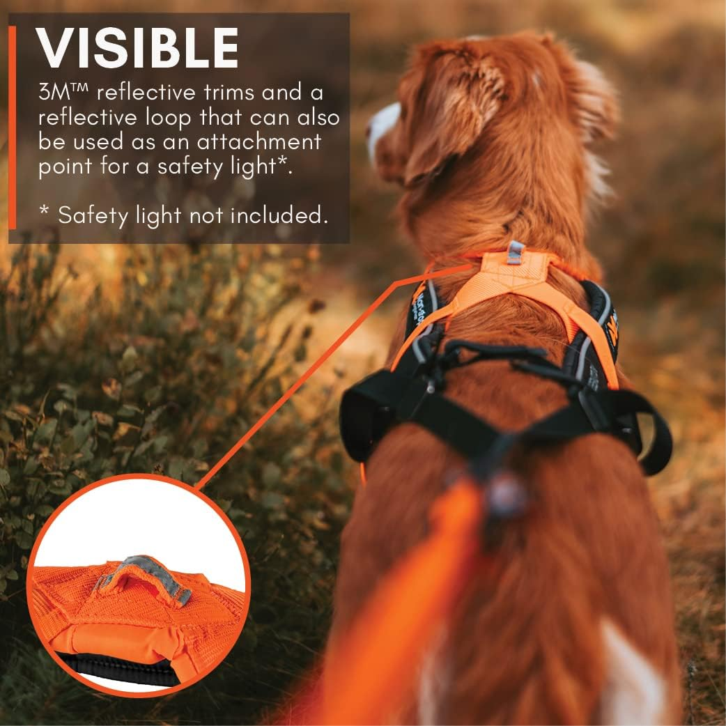 Non-Stop Dogwear Freemotion Harness 5.0 Dog Pulling Harness for Sports like Running, Biking and Skiing with Dogs, Professional Adjustable Dog Harness, Orange/Black, Size 4 image number 3