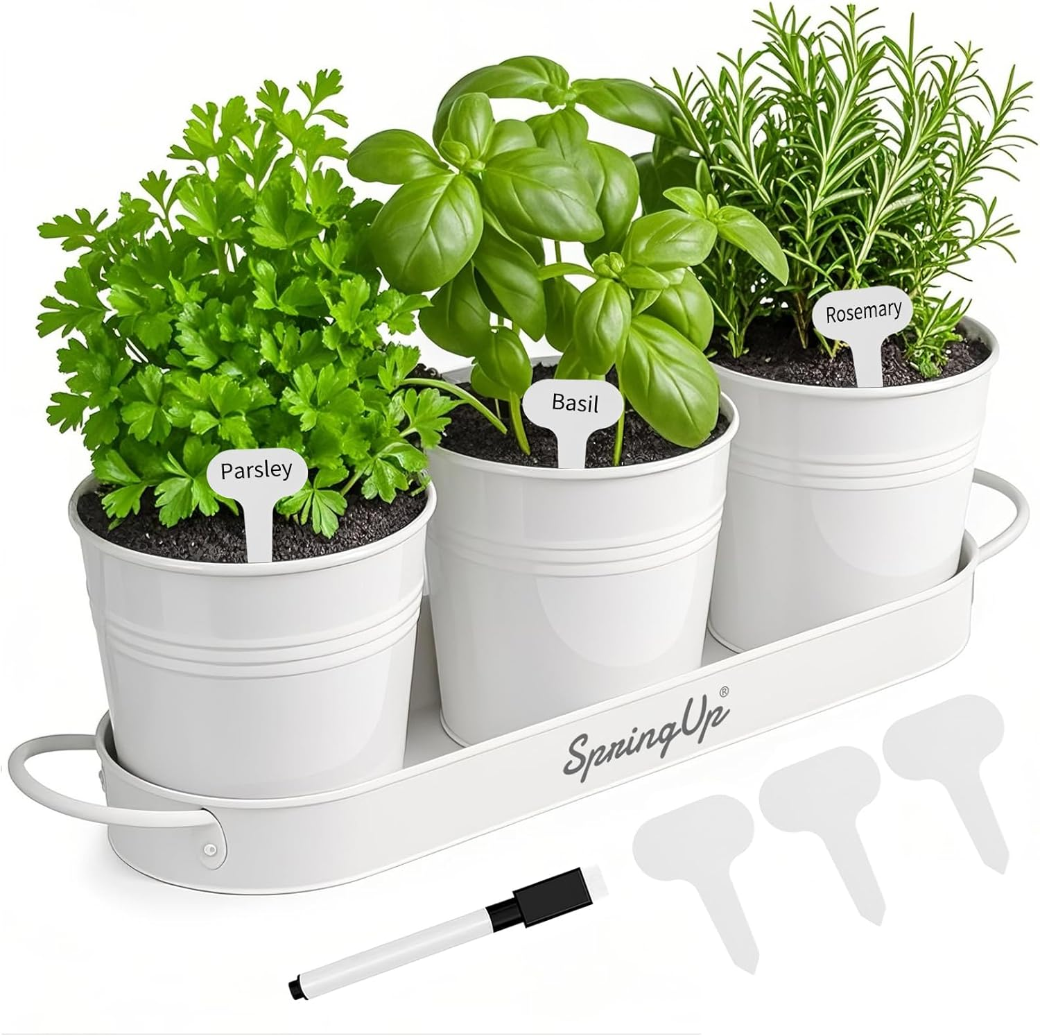 Springup 3 Pack Indoor Herb Garden Planter Set with Tray, Metal Farmhouse Windowsill Plant Pots with Drainage for Outdoor or Indoor Plants (Soft Mint)