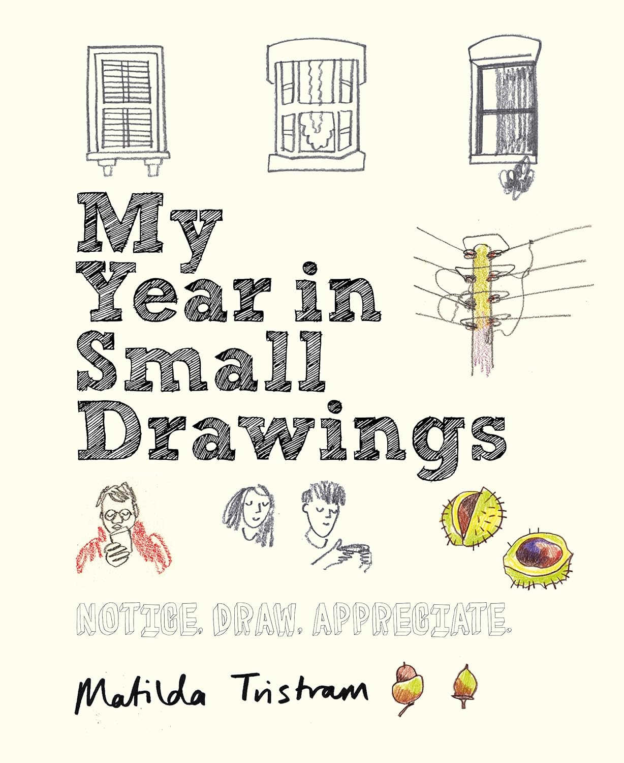 My Year in Small Drawings: Notice, Draw, Appreciate