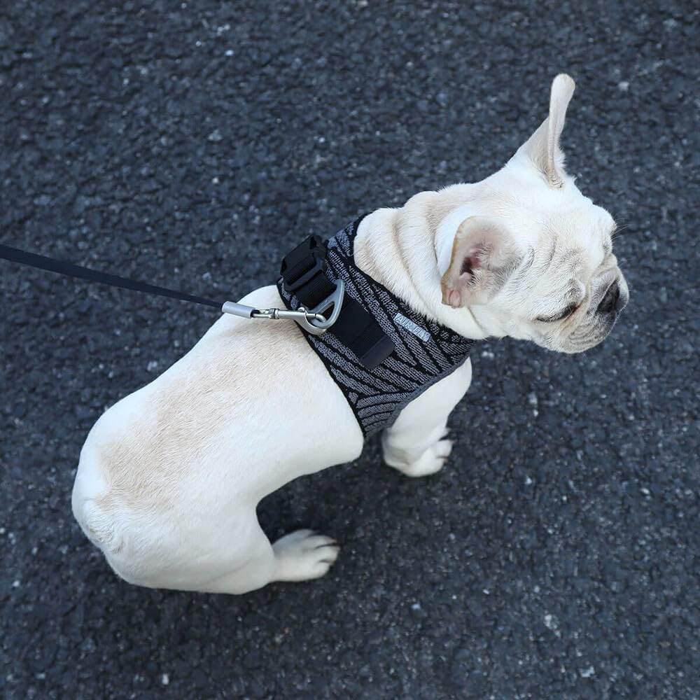 PETKIT Harness Air Fly Large Size Water-Resistant and Breathable Machine Washable image number 4