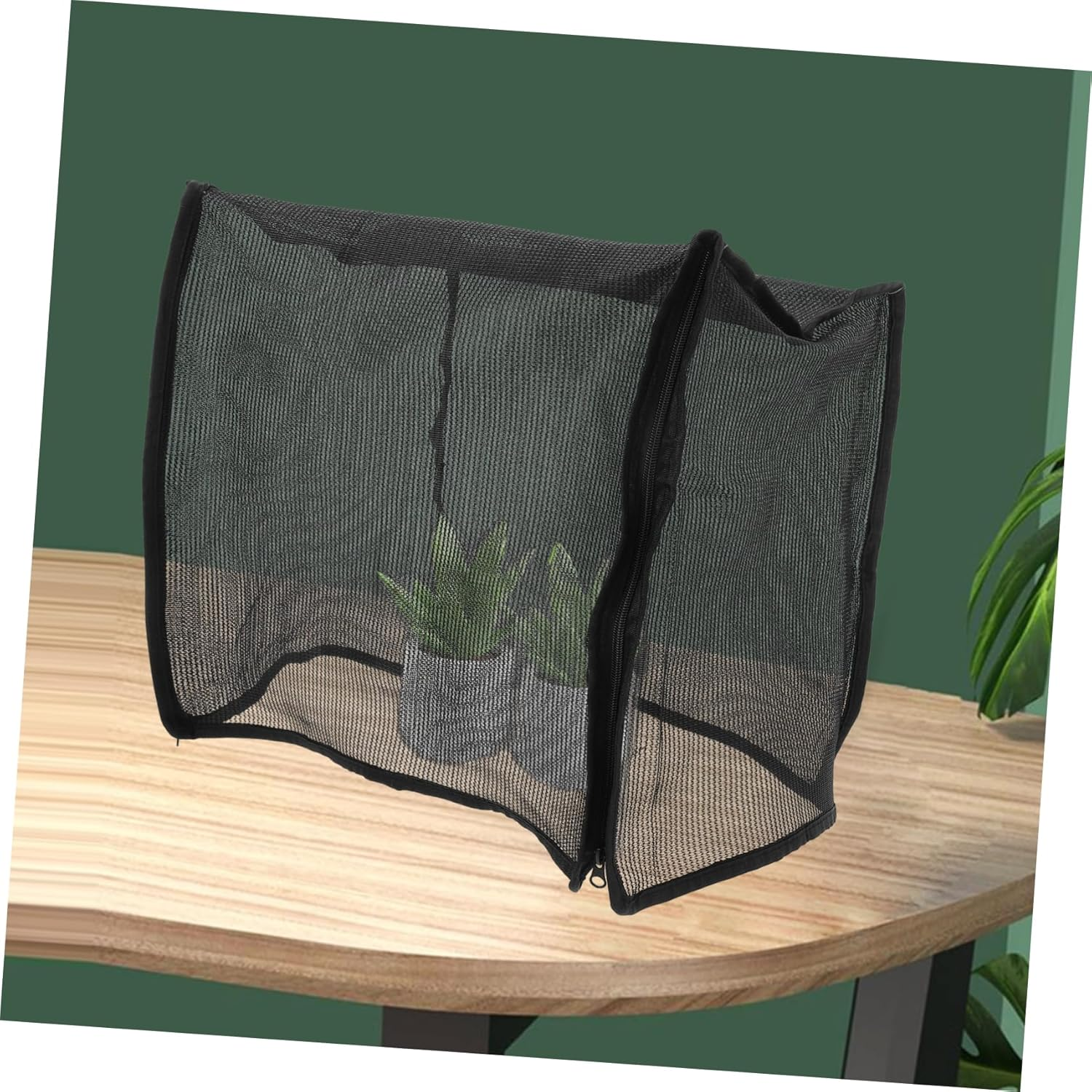 ORFOFE Succulent Planting Box Portable Mushroom Greenhouse Mycology Supplies Tabletop Display image number 4