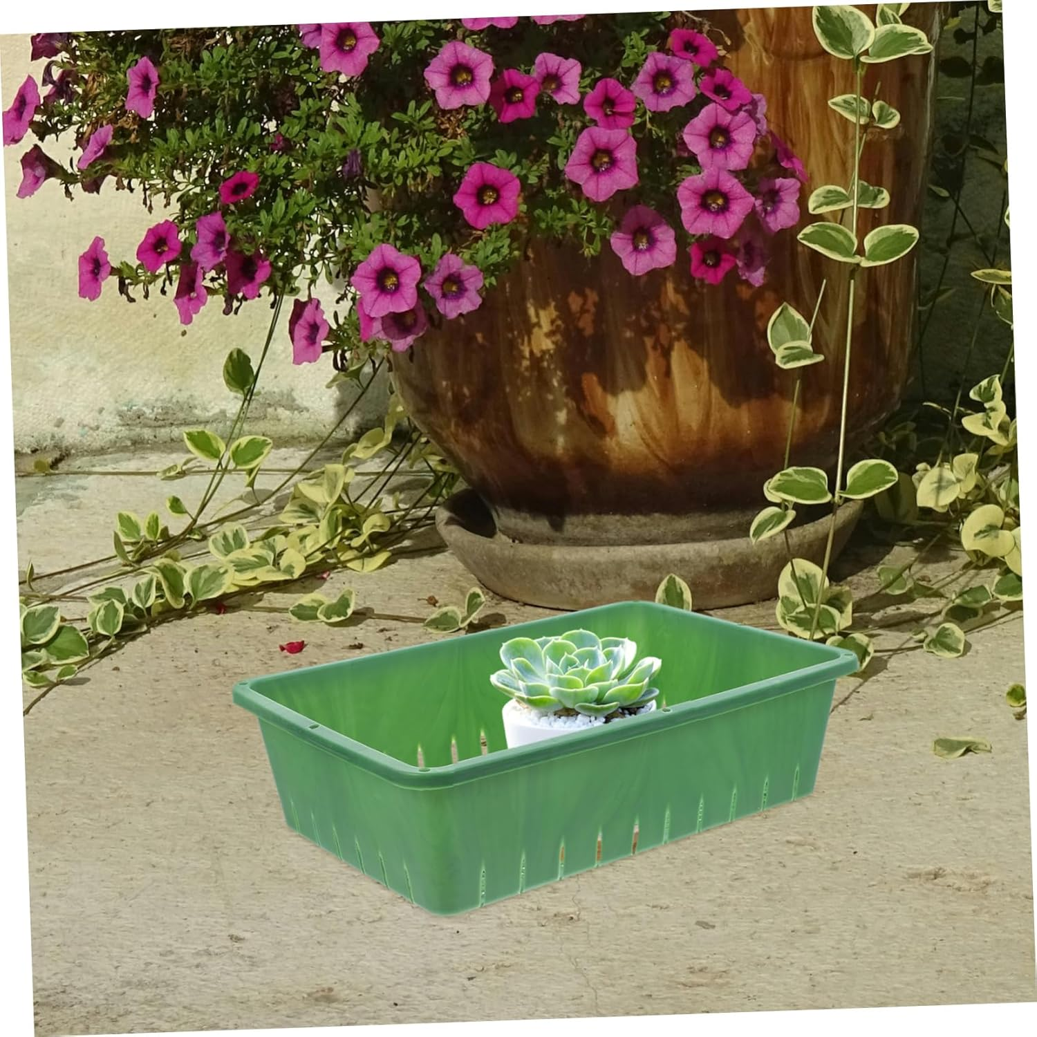 KONTONTY 2 Pcs Sprouting Trays for Seedling and Indoor Gardening Breathable Plastic Seedling Starter Trays Small Size 26X18X7Cm Green Plant for Healthy Root Development image number 1